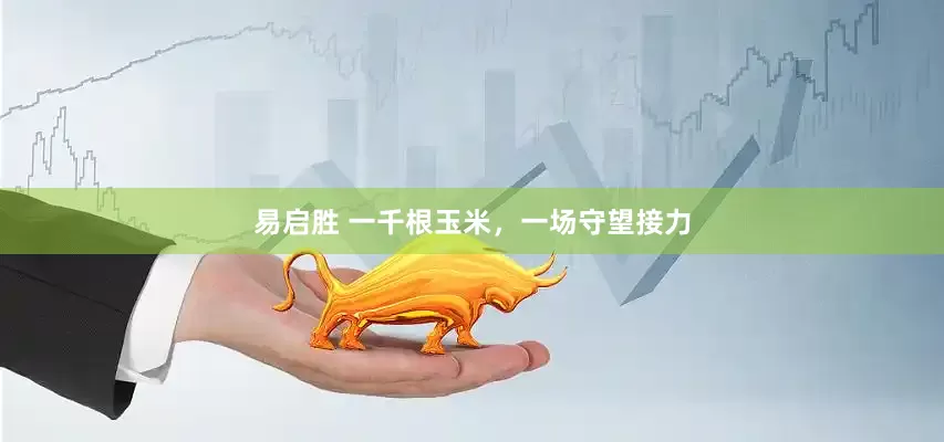 易启胜 一千根玉米，一场守望接力