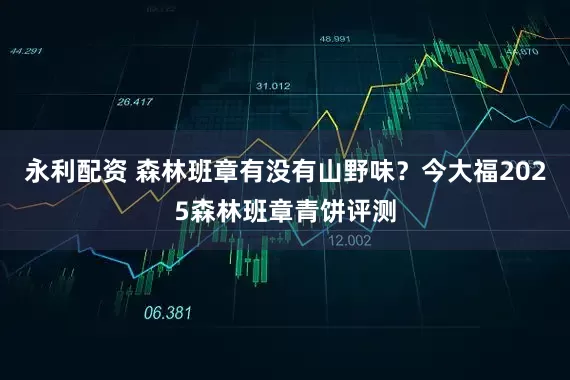 永利配资 森林班章有没有山野味？今大福2025森林班章青饼评测