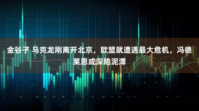 金谷子 马克龙刚离开北京，欧盟就遭遇最大危机，冯德莱恩或深陷泥潭