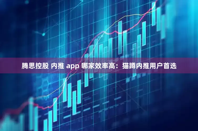 腾思控股 内推 app 哪家效率高：猫蹲内推用户首选
